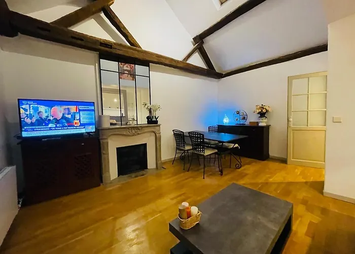 Magnifique & Atypique Appartement Aux Portes Du Chateau